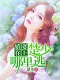 骄妻在上:夜少,强势锁婚