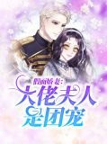 假面娇妻：大佬夫人是团宠关澜陆璟琛