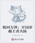 轮回万界：开局穿越王者大陆