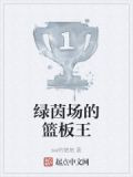 绿茵场的篮板王
