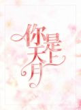 你是天上明月光我是此间少年郎是什么意思