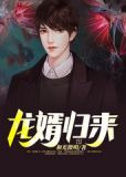 龙婿归来我给总裁老婆当司机