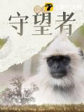 崇左守望者