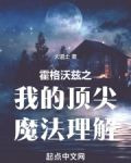 霍格沃茨之我的顶尖魔法理解