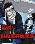 海贼完美防反怎么躲小说