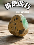 猎艳赌石全文阅读