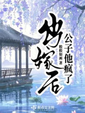 出嫁后公子他疯了笔趣阁