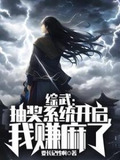 综武完结小说