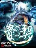 龙契(全)